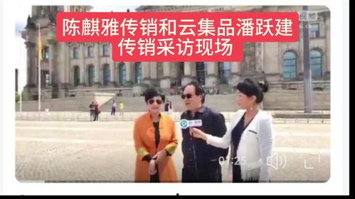 爆料访谈视频大全最新,最新爆料视频大全深度解析